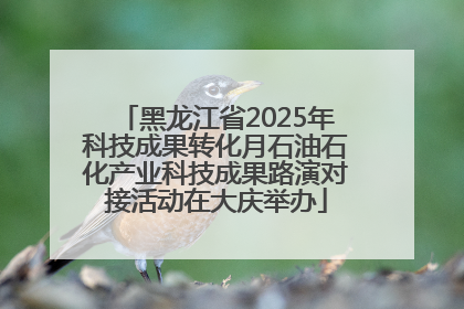 黑龙江省2025年科技成果转化月石油石化产业科技成果路演对接活动在大庆举办