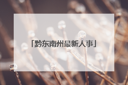 黔东南州最新人事