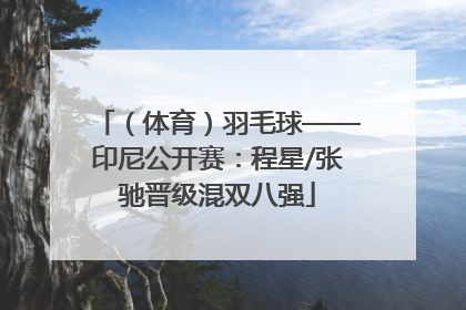 （体育）羽毛球——印尼公开赛：程星/张驰晋级混双八强