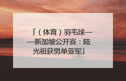 （体育）羽毛球——新加坡公开赛：陆光祖获男单亚军