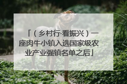 （乡村行·看振兴）一座肉牛小镇入选国家级农业产业强镇名单之后