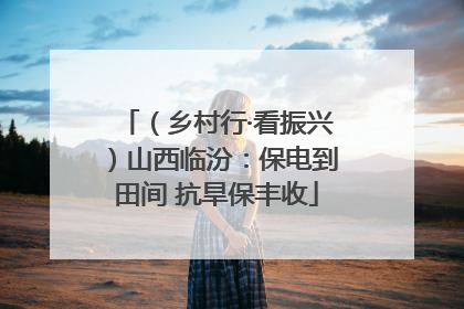 （乡村行·看振兴）山西临汾：保电到田间 抗旱保丰收