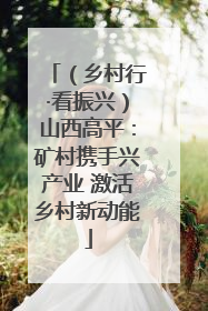 （乡村行·看振兴）山西高平：矿村携手兴产业 激活乡村新动能