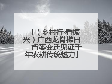 （乡村行·看振兴）广西龙脊梯田：背篓变迁见证千年农耕传统魅力