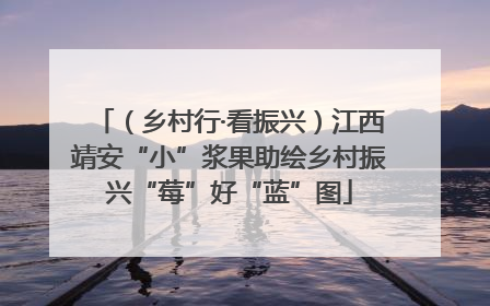 （乡村行·看振兴）江西靖安“小”浆果助绘乡村振兴“莓”好“蓝”图