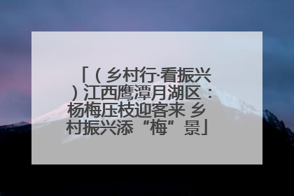 （乡村行·看振兴）江西鹰潭月湖区：杨梅压枝迎客来 乡村振兴添“梅”景