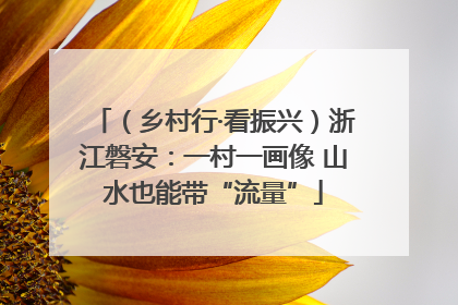 （乡村行·看振兴）浙江磐安：一村一画像 山水也能带“流量”