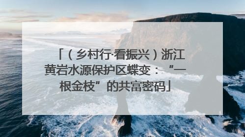 （乡村行·看振兴）浙江黄岩水源保护区蝶变：“一根金枝”的共富密码