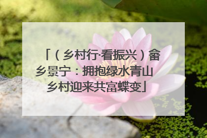 （乡村行·看振兴）畲乡景宁：拥抱绿水青山 乡村迎来共富蝶变
