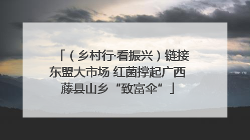 （乡村行·看振兴）链接东盟大市场 红菌撑起广西藤县山乡“致富伞”