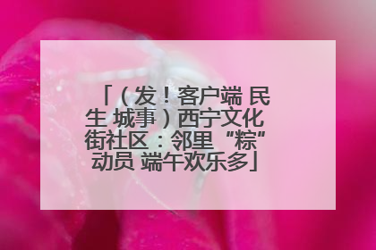 （发！客户端 民生 城事）西宁文化街社区：邻里“粽”动员 端午欢乐多