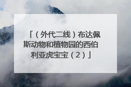 （外代二线）布达佩斯动物和植物园的西伯利亚虎宝宝（2）