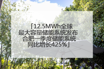 12.5MWh全球最大容量储能系统发布 合肥一季度储能系统同比增长425%