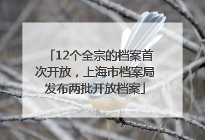 12个全宗的档案首次开放，上海市档案局发布两批开放档案