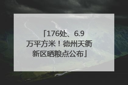 176处、6.9万平方米！德州天衢新区晒粮点公布