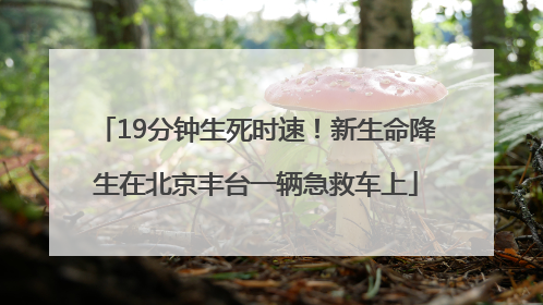 19分钟生死时速！新生命降生在北京丰台一辆急救车上