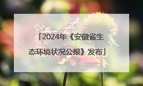 2024年《安徽省生态环境状况公报》发布