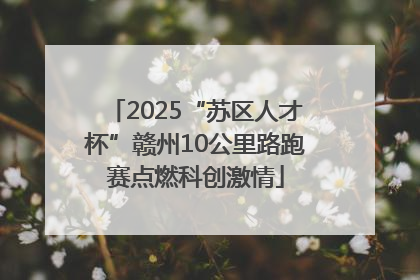 2025“苏区人才杯”赣州10公里路跑赛点燃科创激情
