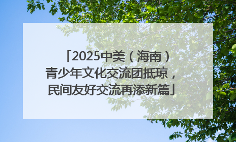 2025中美（海南）青少年文化交流团抵琼，民间友好交流再添新篇
