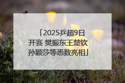 2025乒超9日开赛 樊振东王楚钦孙颖莎等悉数亮相