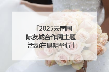 2025云南国际友城合作周主题活动在昆明举行