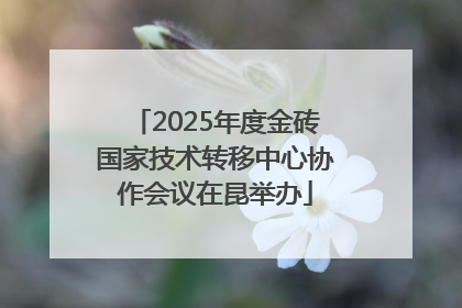 2025年度金砖国家技术转移中心协作会议在昆举办