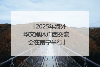 2025年海外华文媒体广西交流会在南宁举行