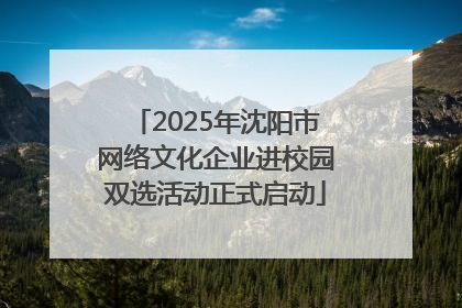 2025年沈阳市网络文化企业进校园双选活动正式启动