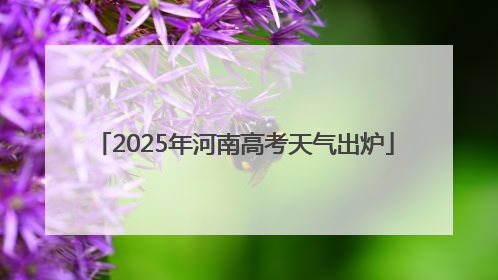 2025年河南高考天气出炉