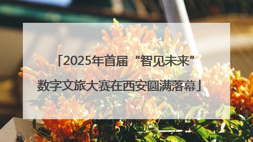 2025年首届“智见未来”数字文旅大赛在西安圆满落幕