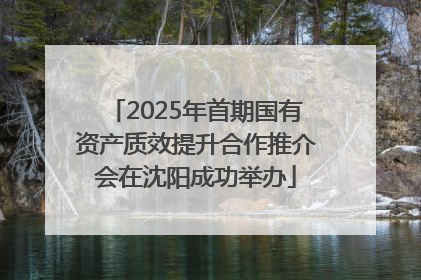2025年首期国有资产质效提升合作推介会在沈阳成功举办