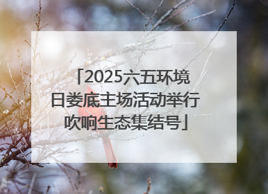2025六五环境日娄底主场活动举行 吹响生态集结号