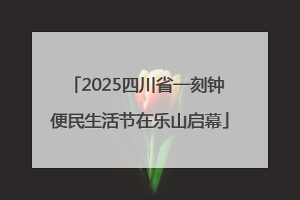 2025四川省一刻钟便民生活节在乐山启幕