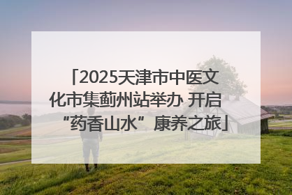 2025天津市中医文化市集蓟州站举办 开启“药香山水”康养之旅