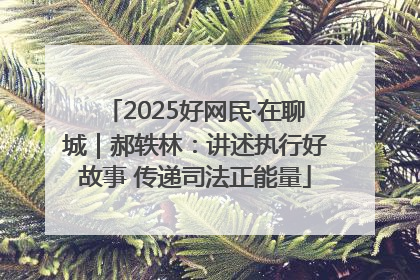 2025好网民·在聊城｜郝轶林：讲述执行好故事 传递司法正能量