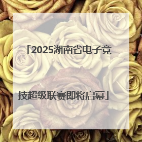 2025湖南省电子竞技超级联赛即将启幕