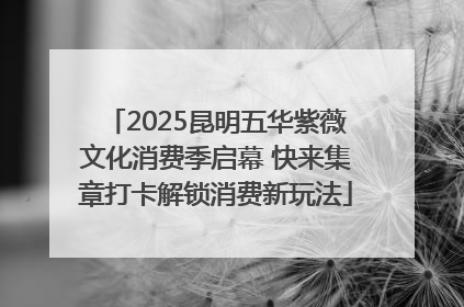 2025昆明五华紫薇文化消费季启幕 快来集章打卡解锁消费新玩法