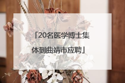 20名医学博士集体到曲靖市应聘