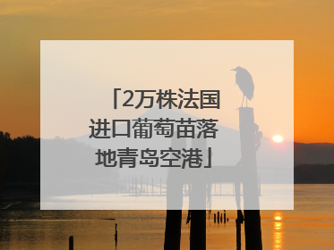 2万株法国进口葡萄苗落地青岛空港