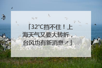 32℃挡不住！上海天气又要大转折，台风也有新消息↗