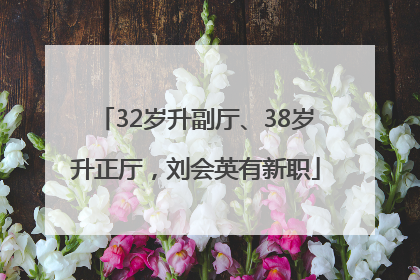 32岁升副厅、38岁升正厅，刘会英有新职