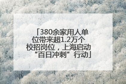 380余家用人单位带来超1.2万个校招岗位，上海启动“百日冲刺”行动