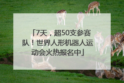 7天，超50支参赛队！世界人形机器人运动会火热报名中