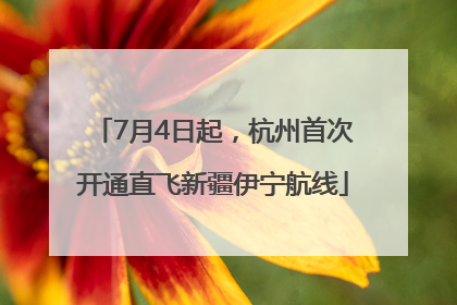 7月4日起，杭州首次开通直飞新疆伊宁航线
