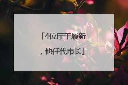 4位厅干履新，他任代市长