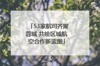 53家航司齐聚蓉城 共绘区域航空合作新蓝图