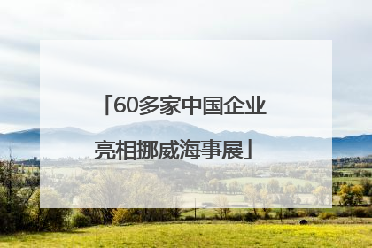 60多家中国企业亮相挪威海事展