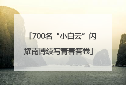 700名“小白云”闪耀南博续写青春答卷