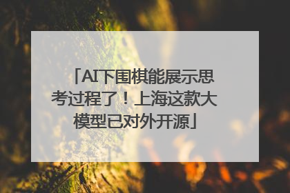 AI下围棋能展示思考过程了！上海这款大模型已对外开源