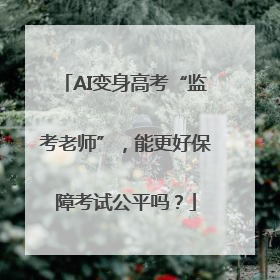 AI变身高考“监考老师”，能更好保障考试公平吗？